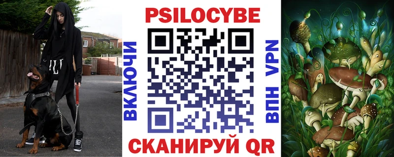 Псилоцибиновые грибы Psilocybine cubensis  Почеп 